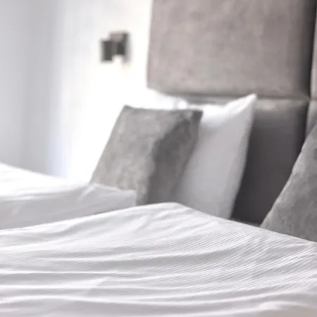 Lemon 米兹多洛杰