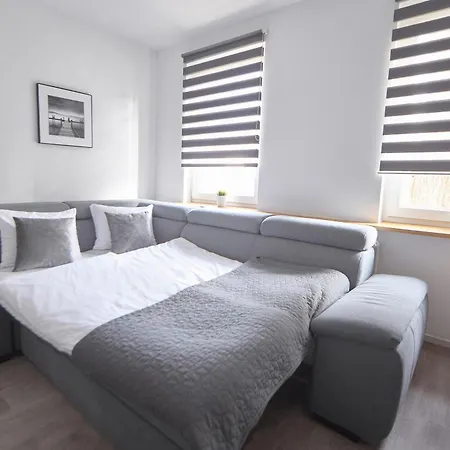 Lemon 米兹多洛杰