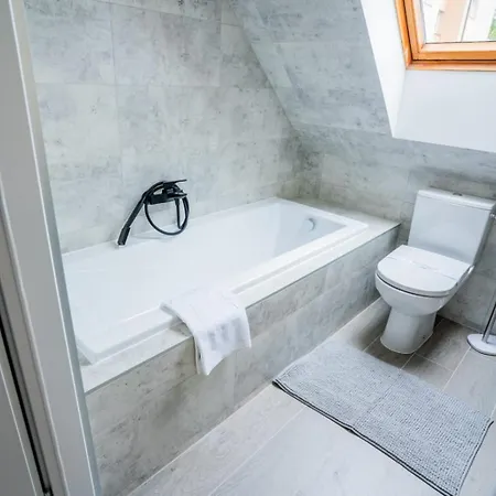 Lemon 米兹多洛杰