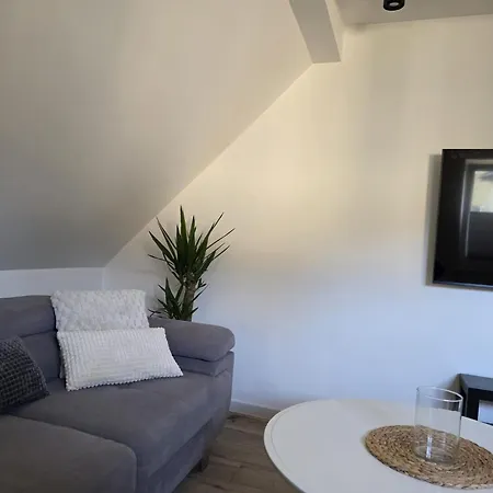 公寓 Lemon 米兹多洛杰